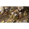 Dekorácia GamersGrass - Tiny Dry Green