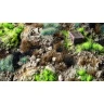 GamersGrass Decoration - Toxic Waste Set