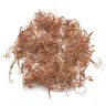 Dekorace Green Stuff World - Diorama Tree Roots