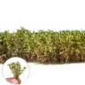 Dekorácia Green Stuff World - Tall Shrubbery: White Green