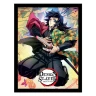 Obraz Demon Slayer - Giyu Tomioka