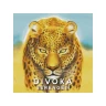 Divoká Serengeti