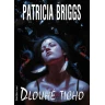 Dlouhé ticho