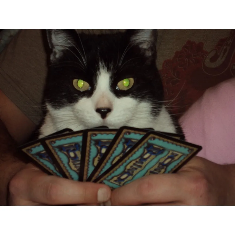 Dominion Big Box