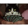 Dominion Big Box