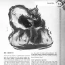 Dračí Hlídka - Kniha monster 1.1