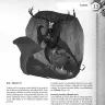 Dračí Hlídka - Kniha monster 1.1