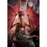 Obaly na karty 66,5 x 93 mm Dragons Lair (MAX Protection)