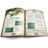 Dragonbane Rulebook