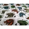 Dragons