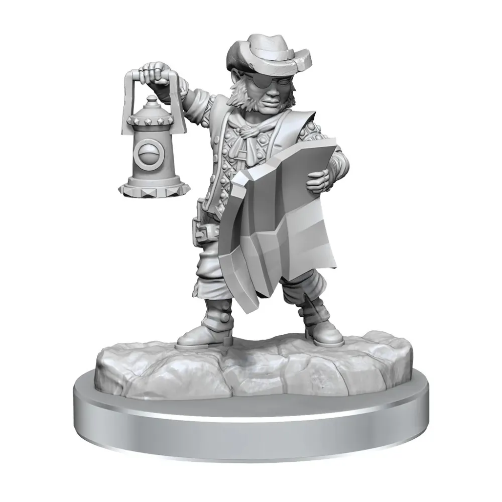 Dungeon & Dragons Frameworks: Male Halfling Rogue