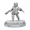 Dungeon & Dragons Frameworks: Male Halfling Rogue