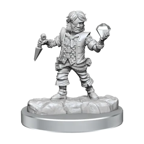 Dungeon & Dragons Frameworks: Male Halfling Rogue