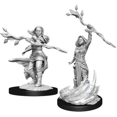 Dungeons & Dragons Nolzur's Marvelous Miniatures: Female Human Druid