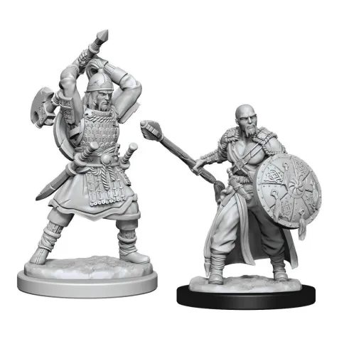 Dungeons & Dragons Nolzur's Marvelous Miniatures - Human Barbarian Male