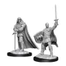 Dungeon & Dragons Nolzur's Marvelous Miniatures - Ľudský paladin muž