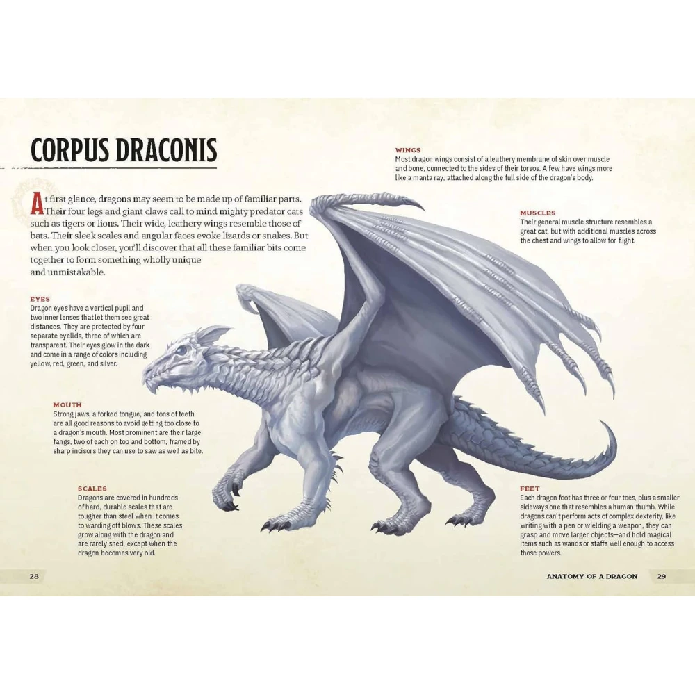 Dungeons & Dragons - Dragons & Treasures
