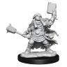 Dungeons & Dragons Frameworks: Dwarf Cleric Female