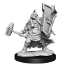Dungeons & Dragons Frameworks: Dwarf Cleric Female