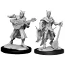 Dungeons & Dragons Nolzur's Marvelous Miniatures: Female Tiefling Bard
