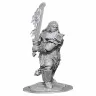 Dungeons & Dragons Nolzur's Marvelous Miniatures Fire Giant