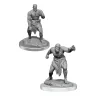 Dungeons & Dragons Nolzur's Marvelous Miniatures: Flesh Golems