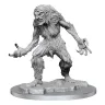 Dungeons & Dragons Nolzur's Marvelous Miniatures Ice Troll Female