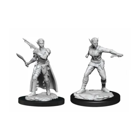 Dungeons & Dragons Nolzur's Marvelous Miniatures - Shifter Rogue Female