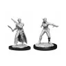 Dungeons & Dragons Nolzur's Marvelous Miniatures - Shifter Rogue Female