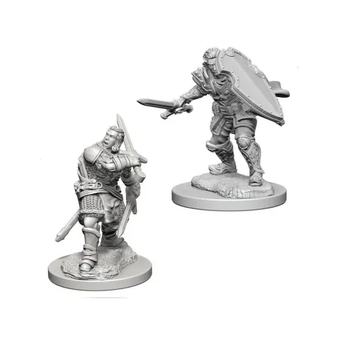 Dungeons & Dragons: Nolzur's Miniatures - Human Male Paladin