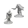 Dungeons & Dragons: Nolzur's Miniatures - Human Male Paladin