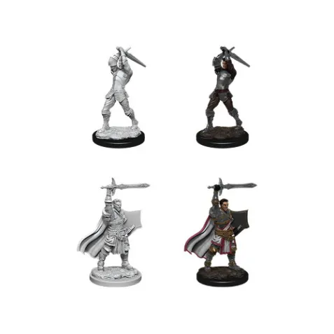 Dungeons & Dragons: Nolzur's Miniatures - Male Human Paladin