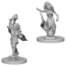 Dungeons & Dragons: Nolzur's Miniatures - Medusas