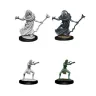 Dungeons & Dragons: Nolzur's Miniatures - Sea Hag & Bheur Hag