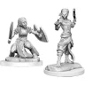 Dungeons & Dragons: Nolzur's Miniatures - Shifter Fighter