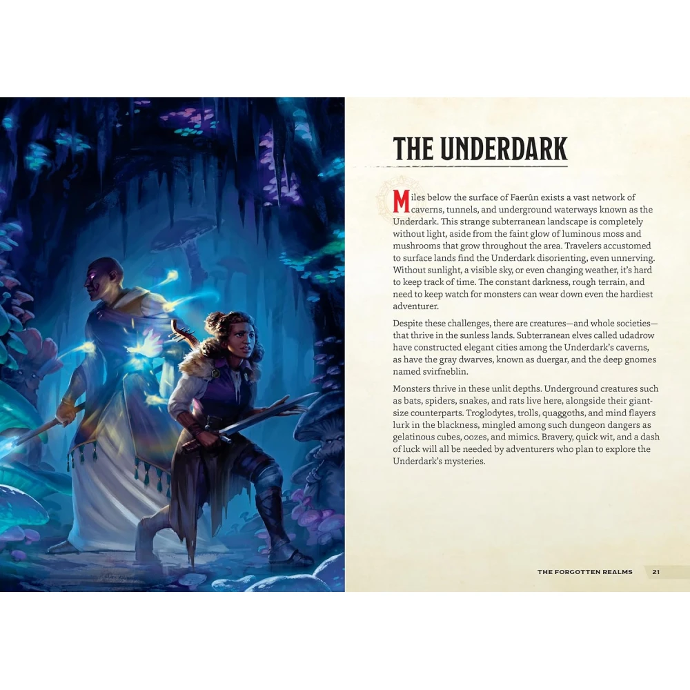 Dungeons & Dragons: Places & Portals - A Young Adventurer's Guide