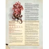Dungeons & Dragons: Volo’s Guide to Monsters