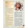 Dungeons & Dragons: Volo’s Guide to Monsters