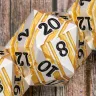D20 Die - Paladin's Revenge (4 cm)