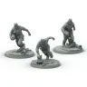 Fallout: Wasteland Warfare - Suiciders