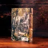 Fellowship Of The Ring Illustrated Edition