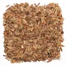 Fennel
