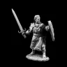 Figurka Paladin - Ashlan Felltrush