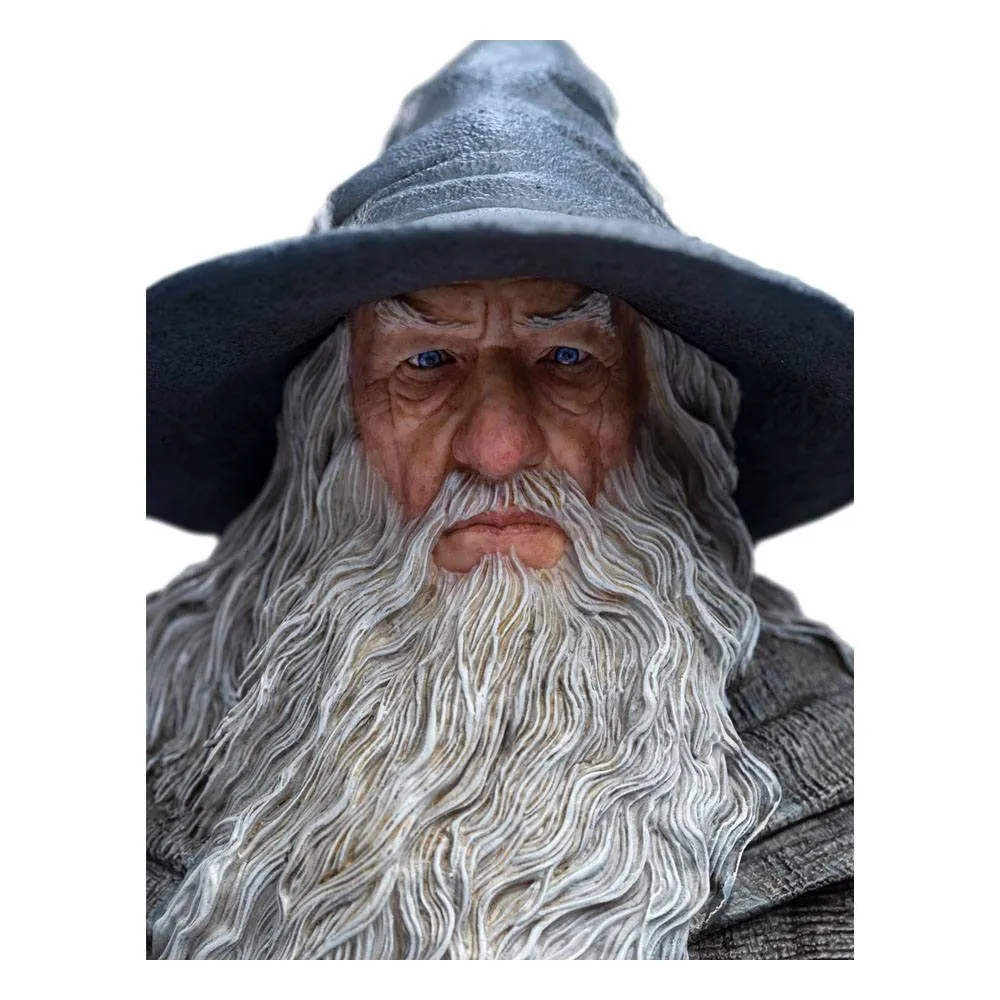 The Lord of the Rings Figure - Gandalf the Grey