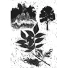 Flora of Middle-Earth
