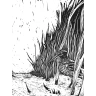 Flora of Middle-Earth