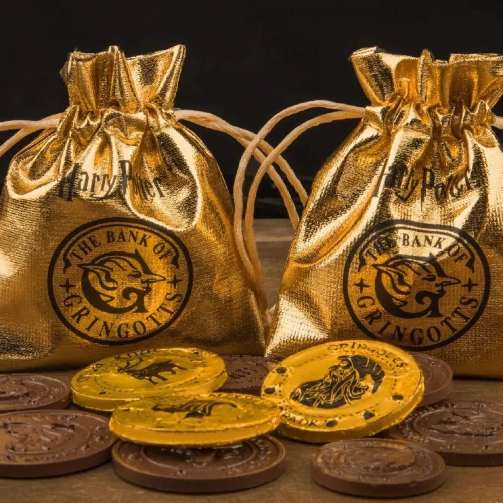 Harry Potter Chocolate Coin Mould