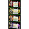 Ghostbusters: The Board Game