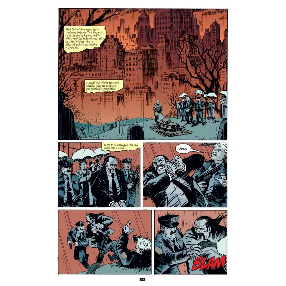 Gotham Central 2: Šašci a blázni
