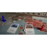 Hannibal & Hamilcar: Rome vs Carthage